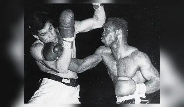  Mina falleció el primero de junio de 1993 a causa de un ataque al corazón. Foto : Tapout.    