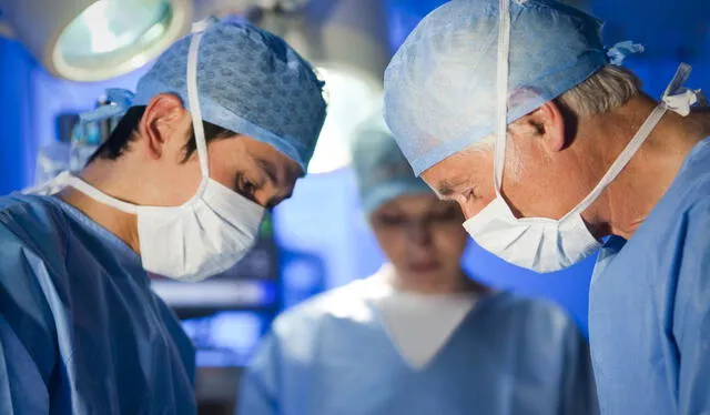 Con esta legislación, Florida se convierte en el estado número 21 en implementar la Ley de Reconocimiento Universal de Licencias, buscando eliminar barreras y fomentar el crecimiento económico en el sector salud. Foto: ThoughtCo Con esta legislación, Florida se convierte en el estado número 21 en implementar la Ley de Reconocimiento Universal de Licencias, buscando eliminar barreras y fomentar el crecimiento económico en el sector salud. Foto: ThoughtCo