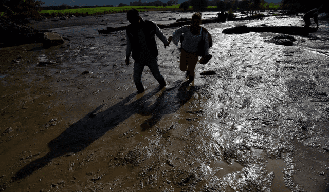 Las inundaciones han perjudicado considerablemente al sector agrícola, generando pérdidas en cultivos y ganado. Foto: EFE Las inundaciones han perjudicado considerablemente al sector agrícola, generando pérdidas en cultivos y ganado. Foto: EFE