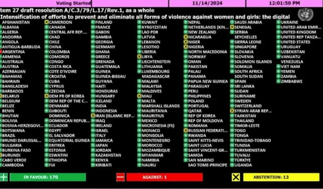 De 184 países, el único país que votó en contra del combate de la violencia contra las mujeres en la ONU fue Argentina   