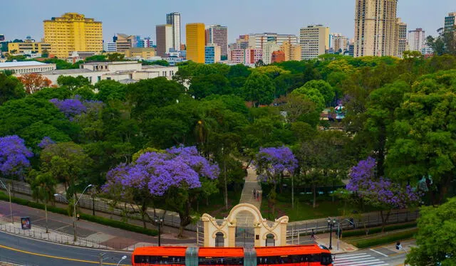  Curitiba es el primer sistema de autobuses de tránsito rápido (BRT) del mundo. Foto: Farijaviens   