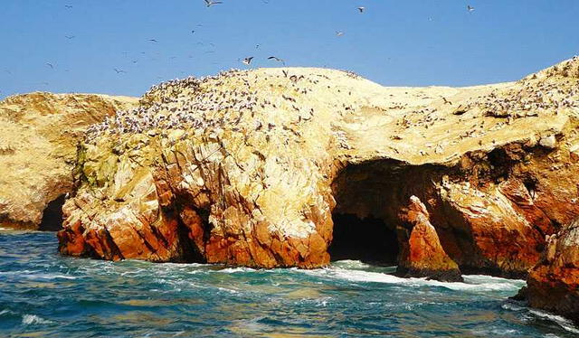  En peligro. La pesca industrial dañaría el ecosistema de la Reserva Nacional de Paracas.    