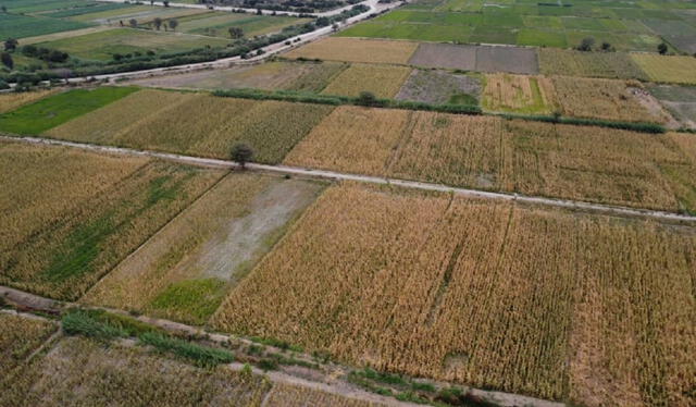  Piura enfrenta una crisis hídrica y alcalde construye el Parque de las Aguas. Foto: Maribel Mendo/La República    