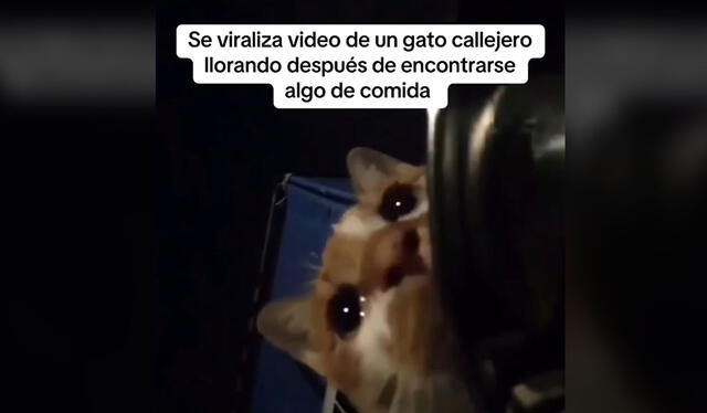 Video cuenta con millones de vistas. Foto: TikTok    