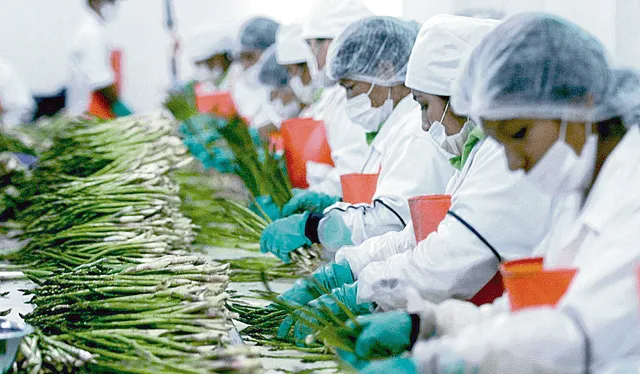  Paneo. El boom agroexportador permitió subir de US$758 mllns a US$10.421 mllns a 2022. Anualmente, crecieron en 12%. En la otra cara, precariedad laboral. Foto: difusión<br><br>    