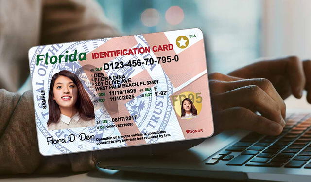 Para obtener la Real ID, se deben presentar cuatro documentos específicos y se recomienda programar la cita en el DMV con anticipación. Foto: Palm Beach County Tax Collector   