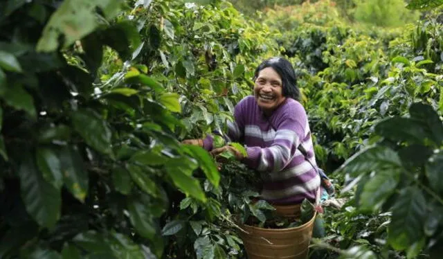  Actualmente, más del 75% de la fuerza laboral de la empresa está compuesta por mujeres. Foto: Servindi.   