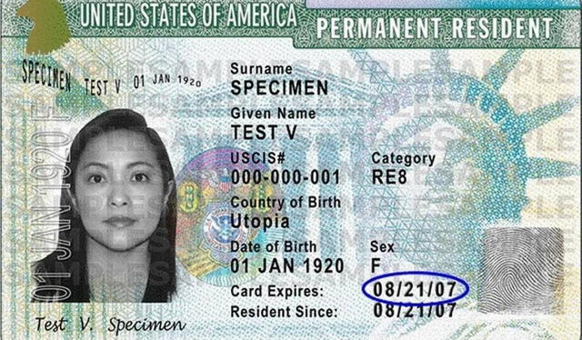 Desde su adopción en 1977, la Green Card ha evolucionado, incorporando avanzados elementos de seguridad y tecnologías que dificultan su falsificación, lo que refuerza su validez como identificación oficial. Foto: El Nuevo Herald   