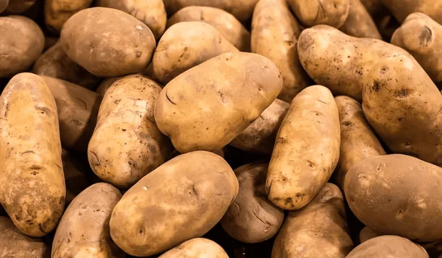  Estas papas se caracterizan por su calidad al prepararlas al horno, fritas y en puré. Foto: Google.    