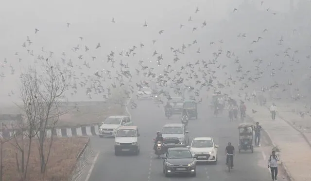  Un manto de polución ambiental cubrió Delhi el 13 de noviembre, reduciendo la visibilidad y evidenciando la grave crisis de calidad del aire que enfrenta la ciudad. Foto: El Periódico.    