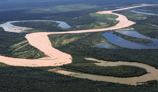  El parque nacional El Impenetrable es un área protegida ubicada en Chaco, Argentina. Foto: Condé Nast Traveler.    