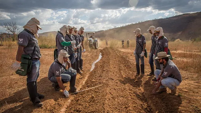  Agricultores brasileños sufren las consecuencias del cambio climático. Foto: Banco Mundial.    