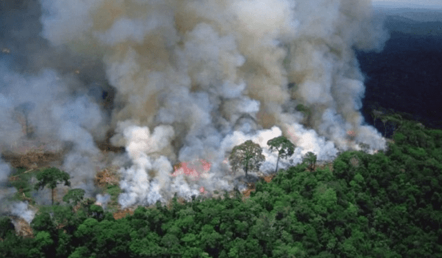  El Amazonas, uno de los ecosistemas más afectados por el cambio climático en Brasil. Foto: El Litoral.    