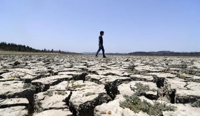  Se espera que las emisiones para 2030 alcancen alrededor de 99,4 millones de toneladas, lo que representaría un 7% más de lo establecido en la meta. Foto: Bio Chile.    