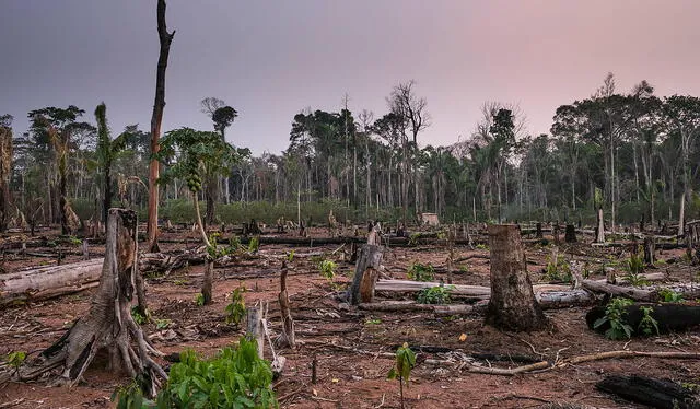  La crisis hídrica que sufre el país desde hace más de diez años es uno de los focos más críticos dentro de la crisis climática del país latinoamericano. Foto: WWF Perú.    