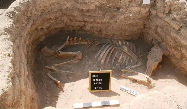  En el "Ascenso de Atón" se alzan las necrópolis y los templos funerarios de los monarcas. Foto: Nat Geo/Cordon Press   