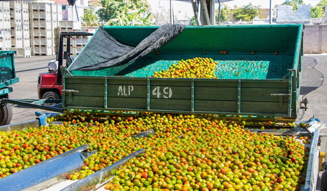  Durante el año pasado, México aumentó 3,5% el valor de exportaciones hortofrutícolas. Foto: Redagrícola.    