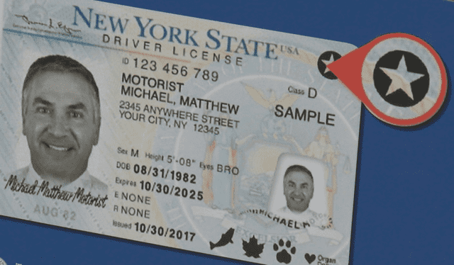  Nueva York permite a los inmigrantes tener la Real ID y acceder a vuelos nacionales. Foto: CNY Central   