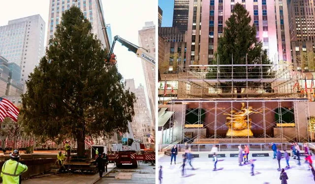  Desde sus humildes comienzos en 1931, el árbol de Navidad del Rockefeller Center se ha convertido en una tradición icónica que ilumina el espíritu festivo de Nueva York. Foto: Nueva York .com   