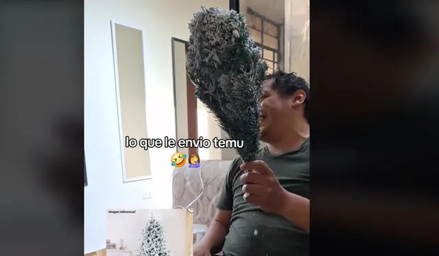 Peruano mostró singular arbolito de Navidad. Foto: TikTok    