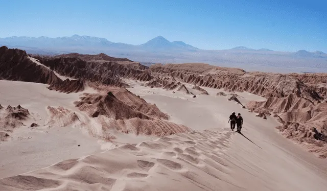 Los hallazgos del equipo muestran que el Atacama alberga una impresionante variedad de microorganismos especializados. Foto: Worldpackers. Los hallazgos del equipo muestran que el Atacama alberga una impresionante variedad de microorganismos especializados. Foto: Worldpackers.