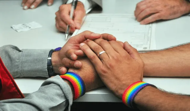 El dictamen busca garantizar el derecho de las parejas homosexuales. Foto: Difusión   