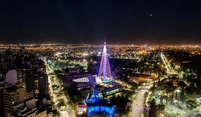  La provincia de Córdoba alberga al árbol más alto. Foto: El clarín   