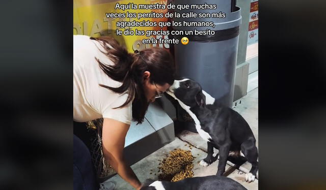 Tierno gesto es viral. Foto: TikTok   