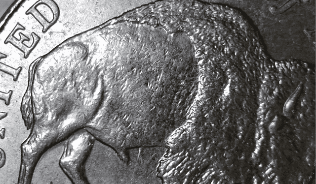 La línea que atraviesa al bisonte, a raíz de un error en fabrica, es el motivo por el que esta moneda es tan costosa. Foto: Coin Community La línea que atraviesa al bisonte, a raíz de un error en fabrica, es el motivo por el que esta moneda es tan costosa. Foto: Coin Community