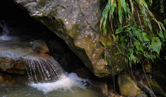  Se calcula que el agua subterránea es de 20 a 35 veces más abundante que el agua superficial presente en ríos y lagos. Foto: Ojo Público.    