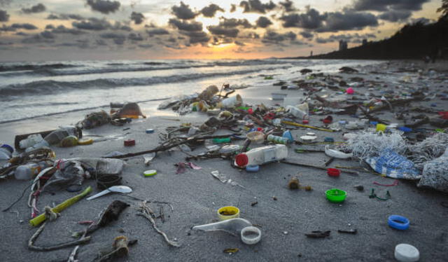  El aumento de miles de desperdicios en las playas se debe a la falta de estrategias para la recolección de basura. Foto: Pexels.    