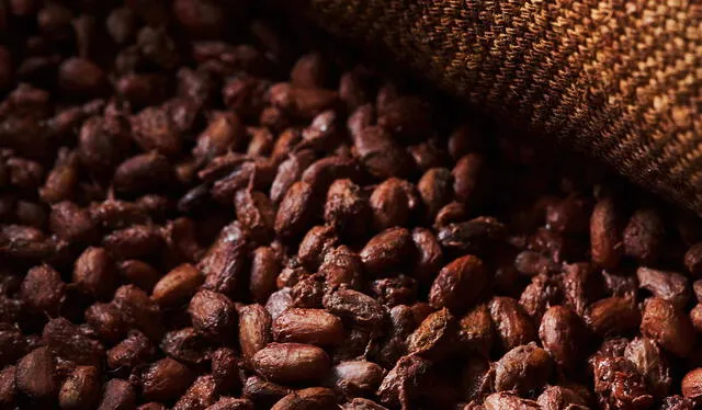  El cacao contiene teobromina, una sustancia que ayuda a mejorar la circulación y a bajar la presión arterial. Foto: Absortech.    