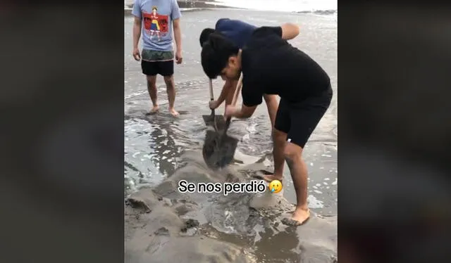 Buscaron por horas. Foto: TikTok    