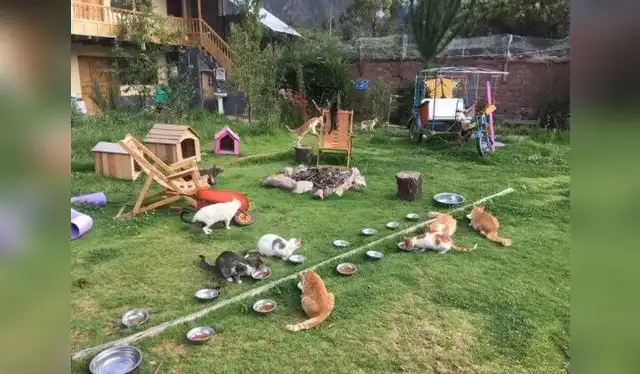  Su albergue fue fundado en el Valle Sagrado de los Incas. Foto: Mishi Wasi   