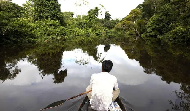  El Amazonas posee la mayor diversidad de animales de agua dulce del mundo: hasta 2.500 especies diferentes. Foto: RTVE.    