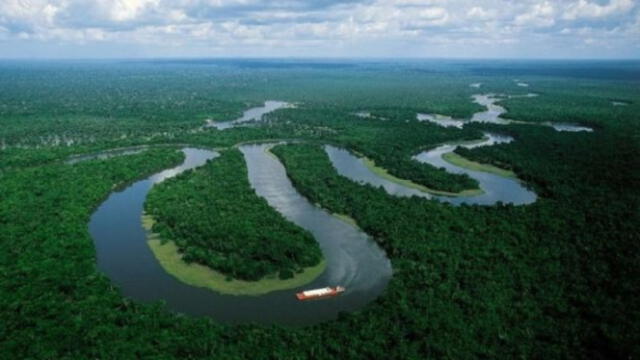  La Amazonía es considerada como el pulmón del planeta Tierra. Foto: La Razón   