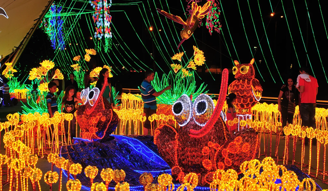  En Medellín (Colombia), por Navidad, se realiza el Festival de Luces. Foto: Revista AD.    