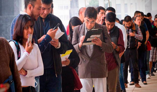  La escasez de oportunidades y la poca demanda laboral son de los factores principales por los cuales muchos jóvenes no están trabajando en lo que han estudiado. Foto: El CEO   