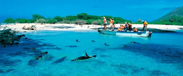  En la playa Tortuga Bay se encuentran las únicas iguanas del mundo que son totalmente marinas. Foto: casadelagogalapagos.com    