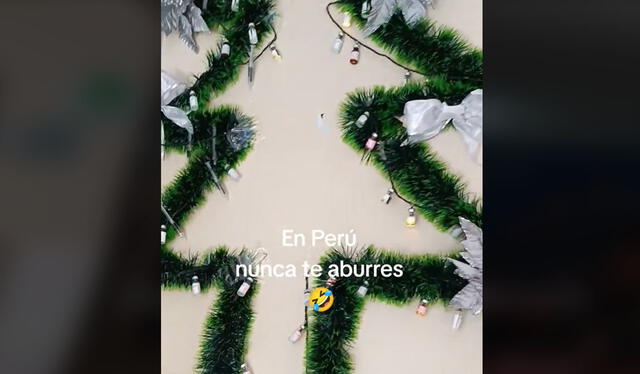 Clip es viral. Foto: TikTok    