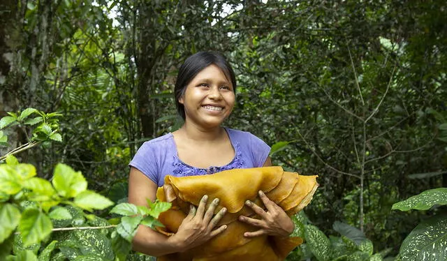 Caxacori Studio produce biocuero a partir del latex que comunidades awajún de Amazonas extraen del árbol de la shiringa o caucho. Foto: Caxacori Studio   