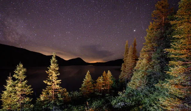  El bosque boreal, que rodea el Ártico, está tan amenazado por el cambio climático como la Amazonía. Foto: RFI.    