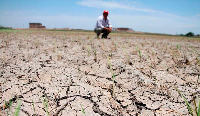  Sin agua. Las sequías ponen en riesgo el consumo de agua potable en Piura. Afectan también a la agricultura. Foto: La República   