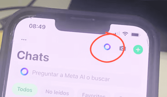  Desactivar el Meta IA de Whatsapp es muy fácil. Foto: TN   