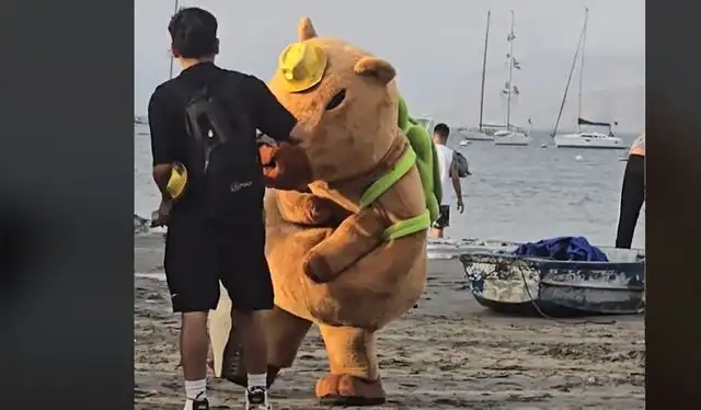 Clip tiene 1 millón de visualizaciones. Foto:TikTok Clip tiene 1 millón de visualizaciones. Foto:TikTok