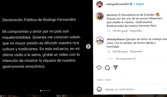 Rodrigo Fernandini se disculpó en sus redes sociales. Foto: Instagram   