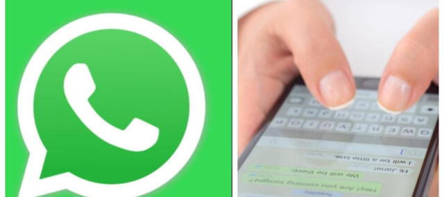  WhatsApp realiza copias de seguridad automáticas regularmente. Si tienes una copia de seguridad reciente, puedes restaurar tus mensajes y archivos eliminados. Foto: El Tiempo   