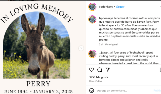 Perry falleció el 2 de enero de 2025. Instagram/@bpdonkeys    