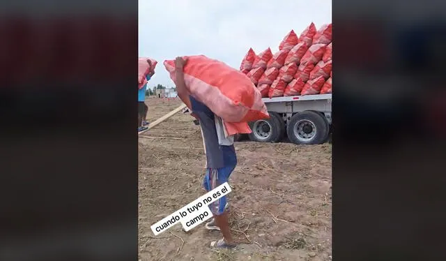 El duro trabajo de los estibadores. Foto: TikTok    