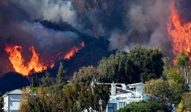  El fuego, que comenzó en las estribaciones del área de Pacific Palisades, ha consumido más de 81 hectáreas de vegetación seca en pocas horas. Foto: AFP   